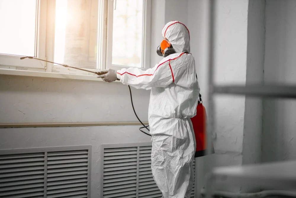 Professional mold remediation services in Mount Laurel, NJ